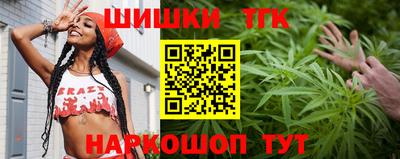 индика Будённовск